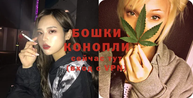 Бошки марихуана Ganja  Балтийск 